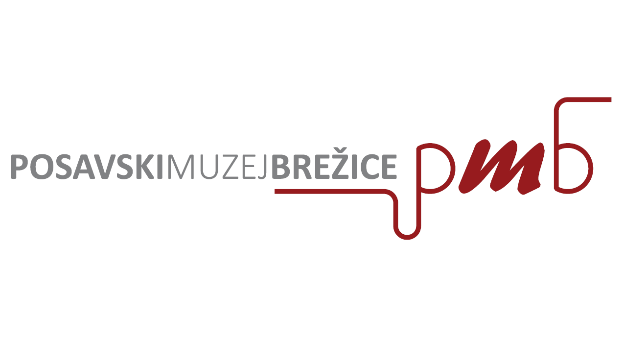 Posnetek zaslona (110)